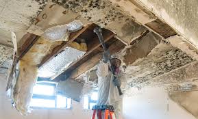 Best Mold Remediation for Healthcare Facilities  in Eastlawn Gardens, PA